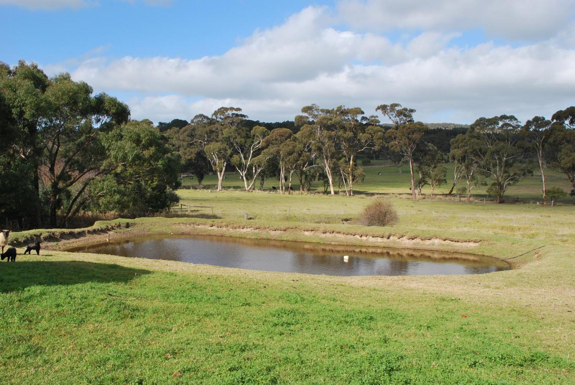Back Valley Farmstay Bed And Breakfast Victor Harbor Ngoại thất bức ảnh