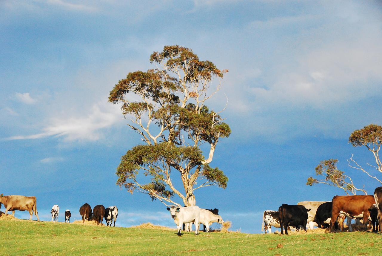 Back Valley Farmstay Bed And Breakfast Victor Harbor Ngoại thất bức ảnh