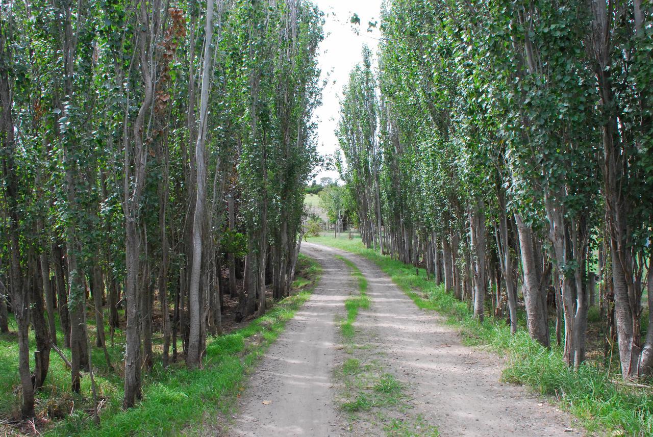 Back Valley Farmstay Bed And Breakfast Victor Harbor Ngoại thất bức ảnh