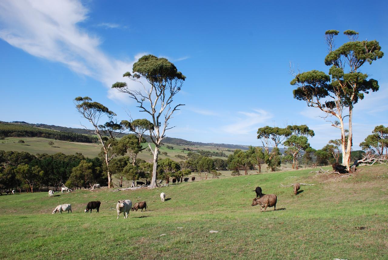 Back Valley Farmstay Bed And Breakfast Victor Harbor Ngoại thất bức ảnh